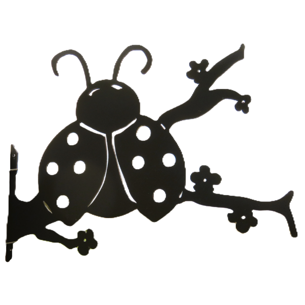 Coccinelle